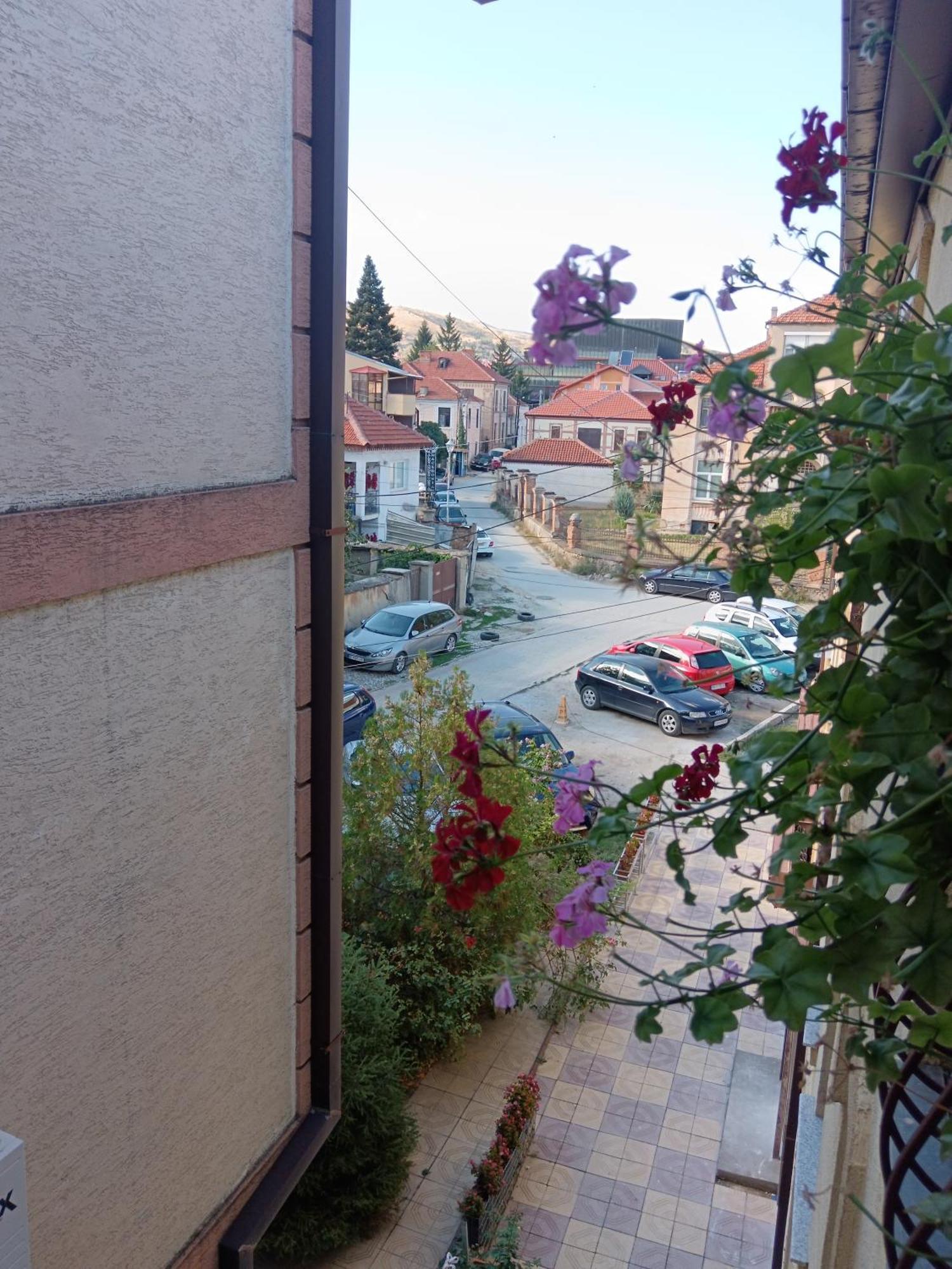 Atonika Apartments Bitola Bagian luar foto